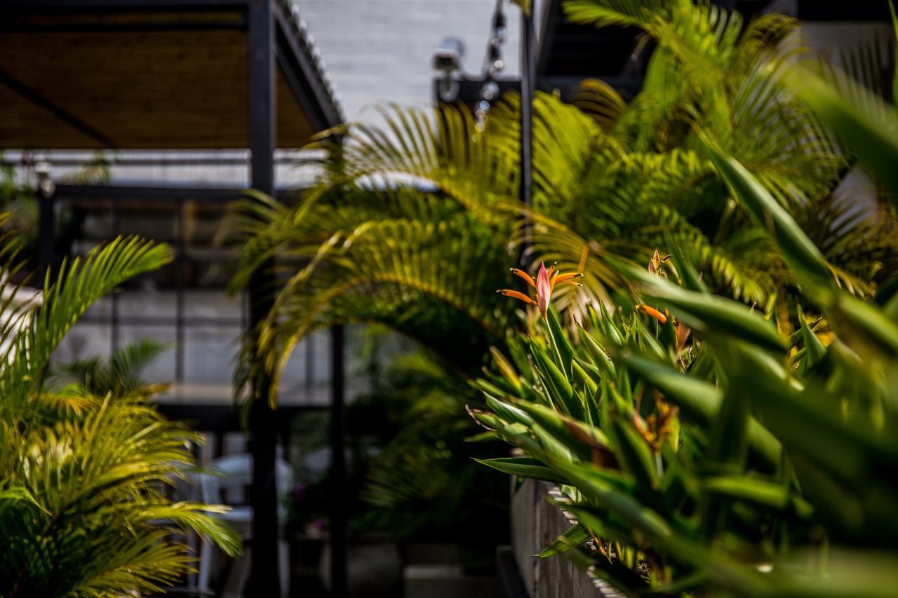 Alko Hotel Boutique 칼리 외부 사진